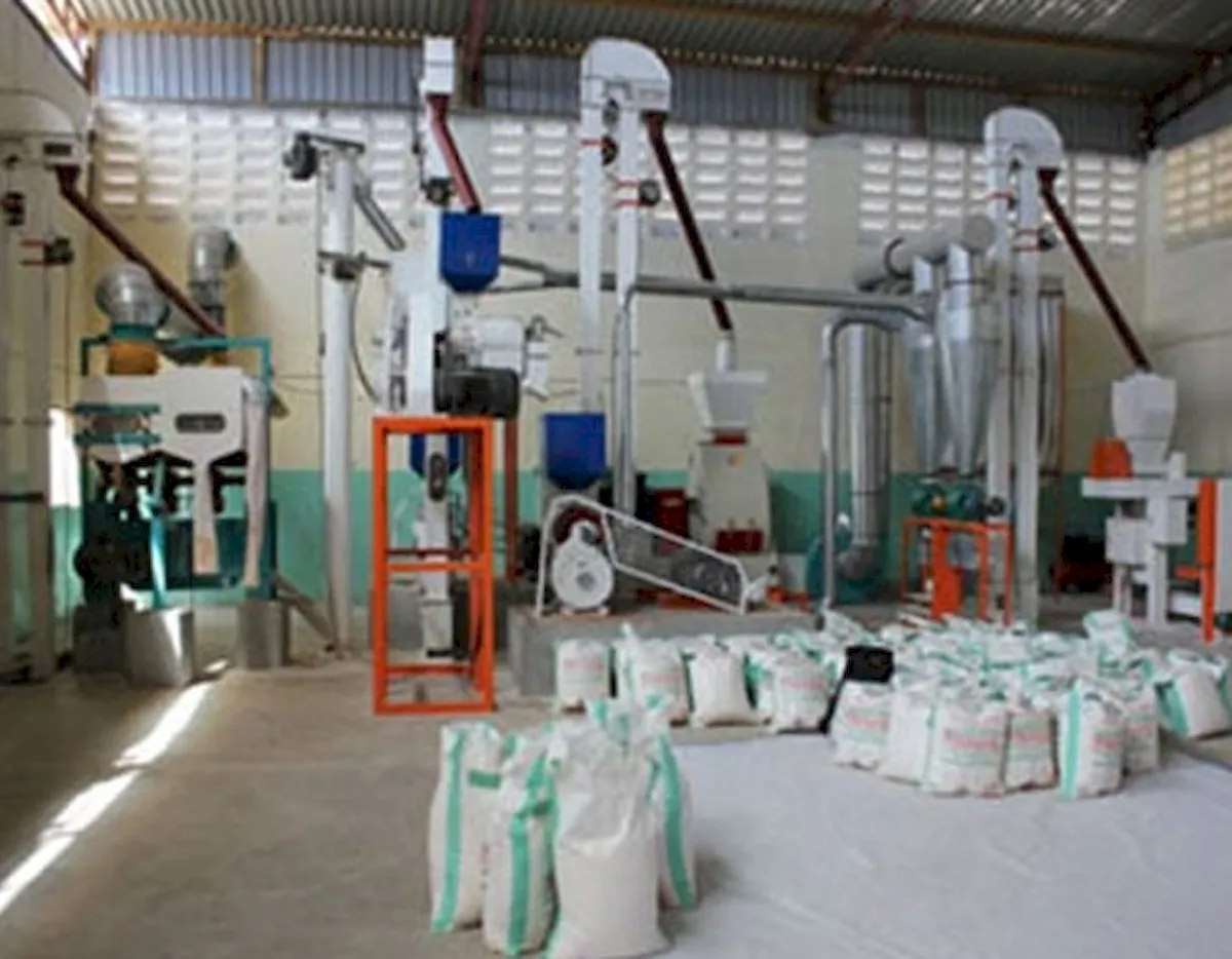 50T Maize Mill in Tanzania